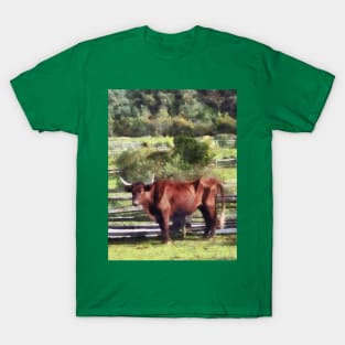 Bulls - Bull in Pasture T-Shirt